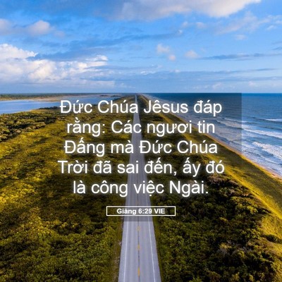 Picture 05 - Giăng 6:29 VIE - Đức Chúa Jêsus đáp rằng: Các ngươi - Bible Verse Picture