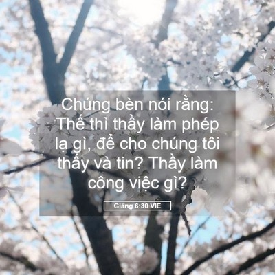 Picture 05 - Giăng 6:30 VIE - Chúng bèn nói rằng: Thế thì thầy làm - Bible Verse Picture