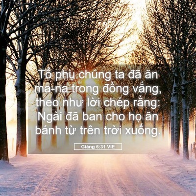 Picture 05 - Giăng 6:31 VIE - Tổ phụ chúng ta đã ăn ma-na trong đồng - Bible Verse Picture