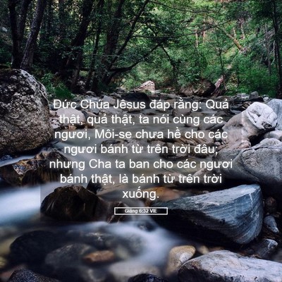 Picture 05 - Giăng 6:32 VIE - Đức Chúa Jêsus đáp rằng: Quả thật, - Bible Verse Picture