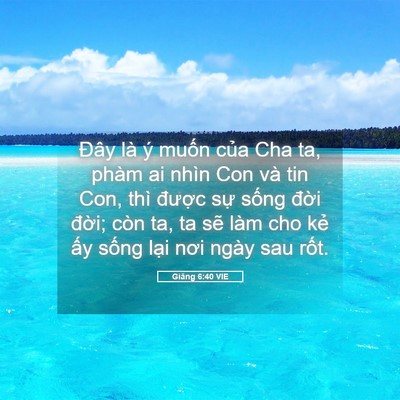 Picture 05 - Giăng 6:40 VIE - Đây là ý muốn của Cha ta, phàm ai nhìn - Bible Verse Picture