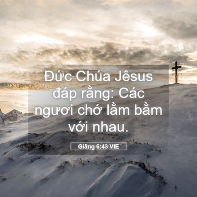 Picture 05 - Giăng 6:43 VIE - Đức Chúa Jêsus đáp rằng: Các ngươi - Bible Verse Picture