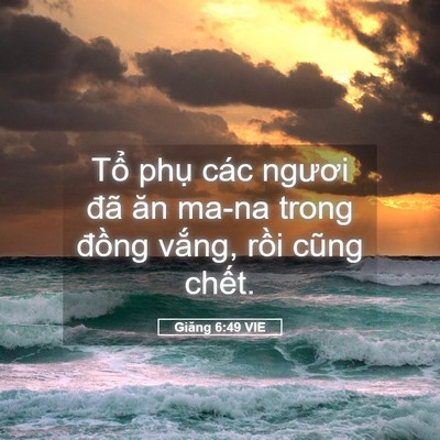 Picture 05 - Giăng 6:49 VIE - Tổ phụ các ngươi đã ăn ma-na trong - Bible Verse Picture