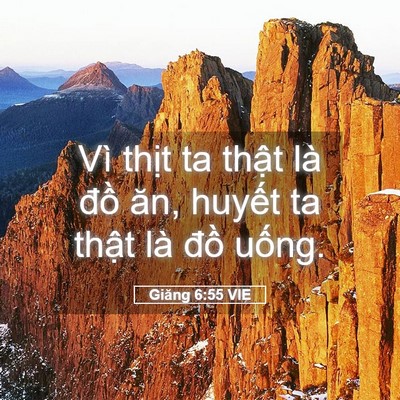 Picture 05 - Giăng 6:55 VIE - Vì thịt ta thật là đồ ăn, huyết ta - Bible Verse Picture