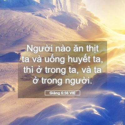 Picture 05 - Giăng 6:56 VIE - Người nào ăn thịt ta và uống huyết - Bible Verse Picture
