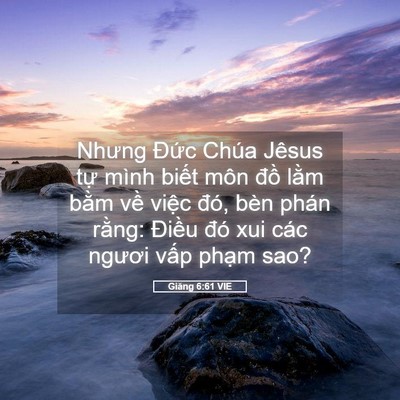 Picture 05 - Giăng 6:61 VIE - Nhưng Đức Chúa Jêsus tự mình biết môn - Bible Verse Picture