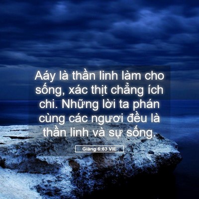 Picture 05 - Giăng 6:63 VIE - Aáy là thần linh làm cho sống, xác thịt - Bible Verse Picture