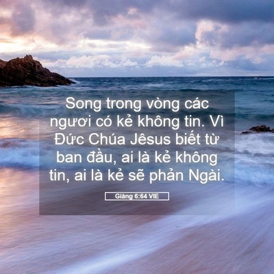 Picture 05 - Giăng 6:64 VIE - Song trong vòng các ngươi có kẻ không - Bible Verse Picture