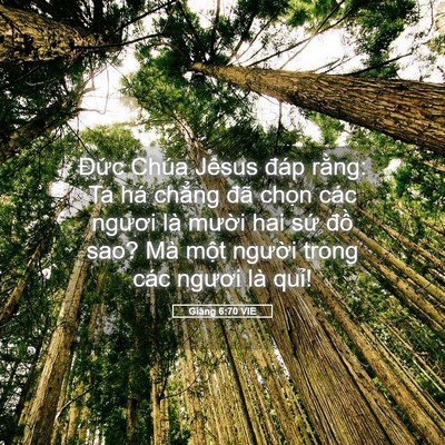 Picture 05 - Giăng 6:70 VIE - Đức Chúa Jêsus đáp rằng: Ta há chẳng - Bible Verse Picture