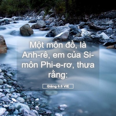 Picture 05 - Giăng 6:8 VIE - Một môn đồ, là Anh-rê, em của Si-môn - Bible Verse Picture