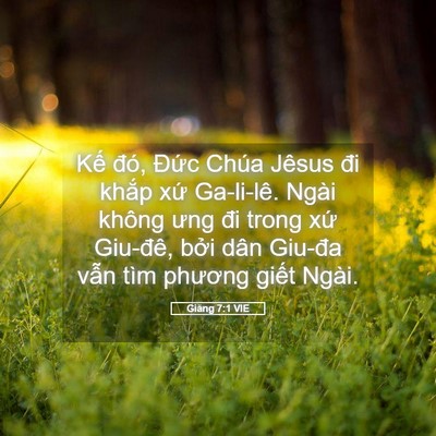 Picture 05 - Giăng 7:1 VIE - Kế đó, Đức Chúa Jêsus đi khắp xứ - Bible Verse Picture
