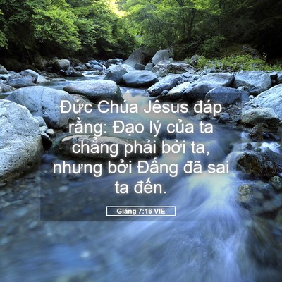 Picture 05 - Giăng 7:16 VIE - Đức Chúa Jêsus đáp rằng: Đạo lý - Bible Verse Picture