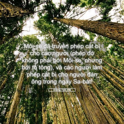 Picture 05 - Giăng 7:22 VIE - Môi-se đã truyền phép cắt bì cho các - Bible Verse Picture