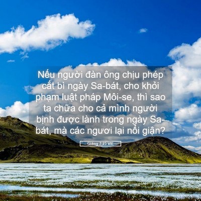 Picture 05 - Giăng 7:23 VIE - Nếu người đàn ông chịu phép cắt bì - Bible Verse Picture