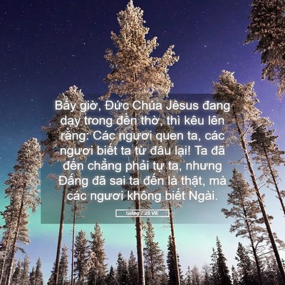 Picture 05 - Giăng 7:28 VIE - Bấy giờ, Đức Chúa Jêsus đang dạy - Bible Verse Picture