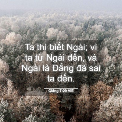 Picture 05 - Giăng 7:29 VIE - Ta thì biết Ngài; vì ta từ Ngài đến, - Bible Verse Picture