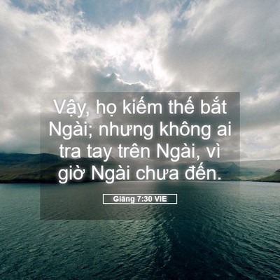 Picture 05 - Giăng 7:30 VIE - Vậy, họ kiếm thế bắt Ngài; nhưng - Bible Verse Picture