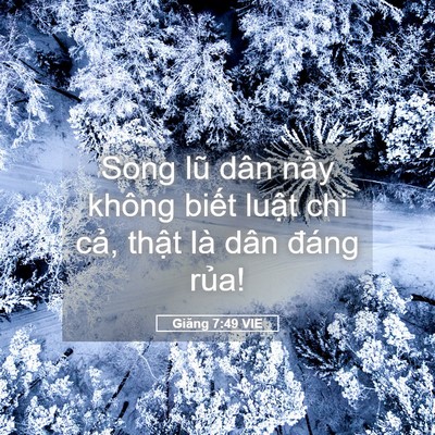 Picture 05 - Giăng 7:49 VIE - Song lũ dân nầy không biết luật chi - Bible Verse Picture