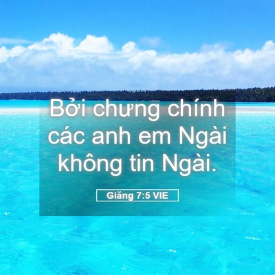 Picture 05 - Giăng 7:5 VIE - Bởi chưng chính các anh em Ngài không tin - Bible Verse Picture