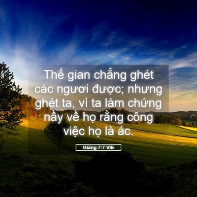 Picture 05 - Giăng 7:7 VIE - Thế gian chẳng ghét các ngươi được; - Bible Verse Picture