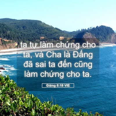 Picture 05 - Giăng 8:18 VIE - ta tự làm chứng cho ta, và Cha là Đấng - Bible Verse Picture