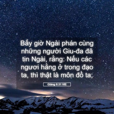 Picture 05 - Giăng 8:31 VIE - Bấy giờ Ngài phán cùng những người - Bible Verse Picture