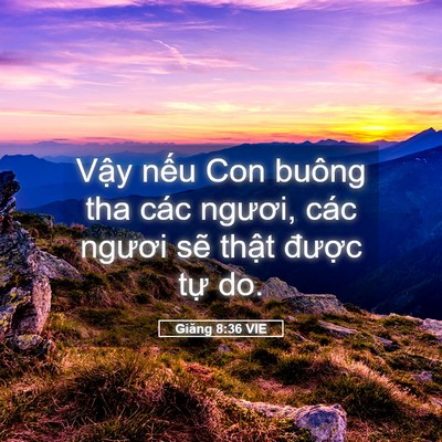 Picture 05 - Giăng 8:36 VIE - Vậy nếu Con buông tha các ngươi, các - Bible Verse Picture