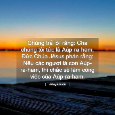 Picture 05 - Giăng 8:39 VIE - Chúng trả lời rằng: Cha chúng tôi tức - Bible Verse Picture