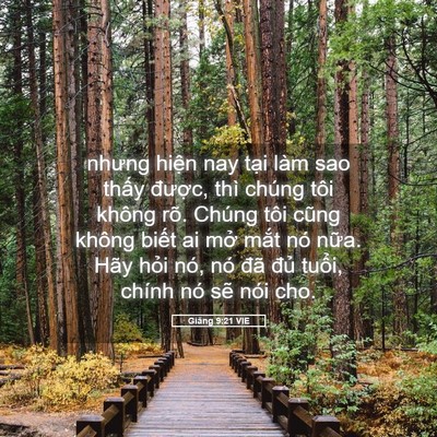 Picture 05 - Giăng 9:21 VIE - nhưng hiện nay tại làm sao thấy được, - Bible Verse Picture