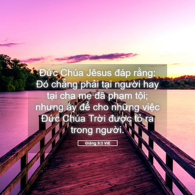 Picture 05 - Giăng 9:3 VIE - Đức Chúa Jêsus đáp rằng: Đó chẳng - Bible Verse Picture