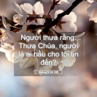 Picture 05 - Giăng 9:36 VIE - Người thưa rằng: Thưa Chúa, người là - Bible Verse Picture