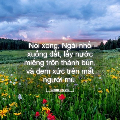 Picture 05 - Giăng 9:6 VIE - Nói xong, Ngài nhổ xuống đất, lấy - Bible Verse Picture