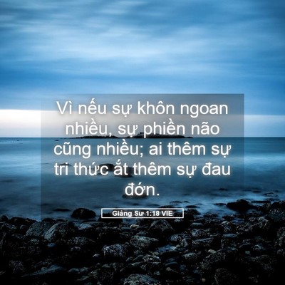 Picture 05 - Giảng Sư 1:18 VIE - Vì nếu sự khôn ngoan nhiều, sự phiền - Bible Verse Picture