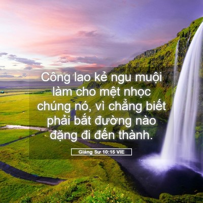 Picture 05 - Giảng Sư 10:15 VIE - Công lao kẻ ngu muội làm cho mệt nhọc - Bible Verse Picture
