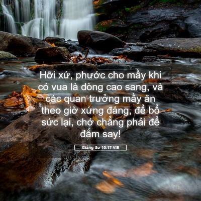 Picture 05 - Giảng Sư 10:17 VIE - Hỡi xứ, phước cho mầy khi có vua là - Bible Verse Picture