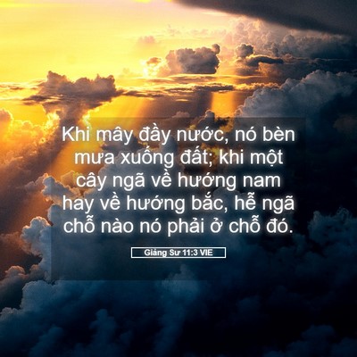 Picture 05 - Giảng Sư 11:3 VIE - Khi mây đầy nước, nó bèn mưa xuống - Bible Verse Picture