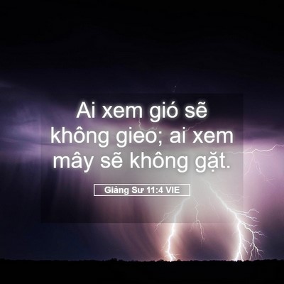 Picture 05 - Giảng Sư 11:4 VIE - Ai xem gió sẽ không gieo; ai xem mây sẽ - Bible Verse Picture