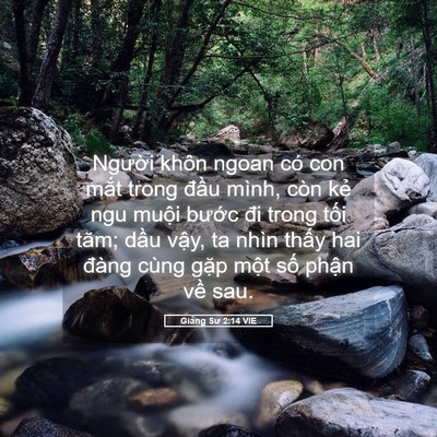 Picture 05 - Giảng Sư 2:14 VIE - Người khôn ngoan có con mắt trong đầu - Bible Verse Picture