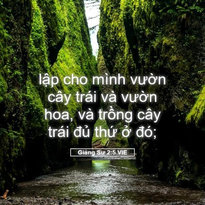 Picture 05 - Giảng Sư 2:5 VIE - lập cho mình vườn cây trái và vườn - Bible Verse Picture