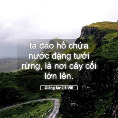 Picture 05 - Giảng Sư 2:6 VIE - ta đào hồ chứa nước đặng tưới - Bible Verse Picture