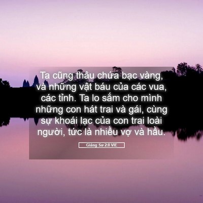 Picture 05 - Giảng Sư 2:8 VIE - Ta cũng thâu chứa bạc vàng, và những - Bible Verse Picture