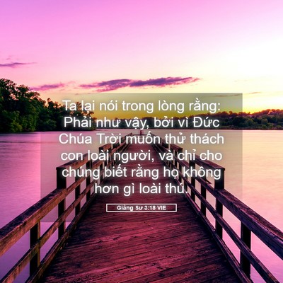 Picture 05 - Giảng Sư 3:18 VIE - Ta lại nói trong lòng rằng: Phải như - Bible Verse Picture