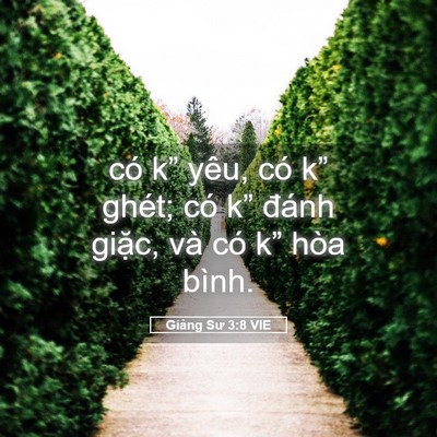 Picture 05 - Giảng Sư 3:8 VIE - có k” yêu, có k” ghét; có k” đánh - Bible Verse Picture
