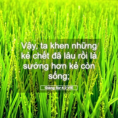 Picture 05 - Giảng Sư 4:2 VIE - Vậy, ta khen những kẻ chết đã lâu - Bible Verse Picture