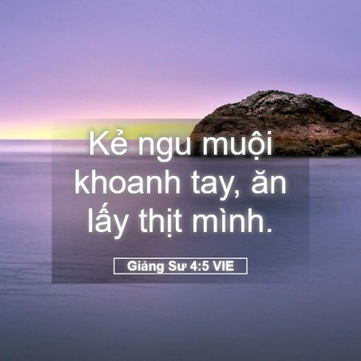 Picture 05 - Giảng Sư 4:5 VIE - Kẻ ngu muội khoanh tay, ăn lấy thịt - Bible Verse Picture