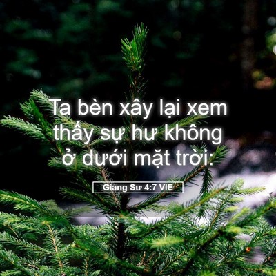 Picture 05 - Giảng Sư 4:7 VIE - Ta bèn xây lại xem thấy sự hư không ở - Bible Verse Picture