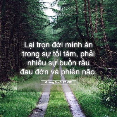 Picture 05 - Giảng Sư 5:17 VIE - Lại trọn đời mình ăn trong sự tối - Bible Verse Picture