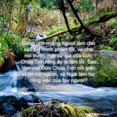 Picture 05 - Giảng Sư 5:6 VIE - Đừng cho miệng ngươi làm cho xác thịt - Bible Verse Picture
