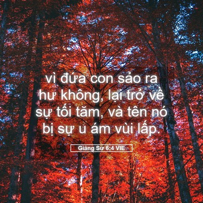 Picture 05 - Giảng Sư 6:4 VIE - vì đứa con sảo ra hư không, lại trở - Bible Verse Picture