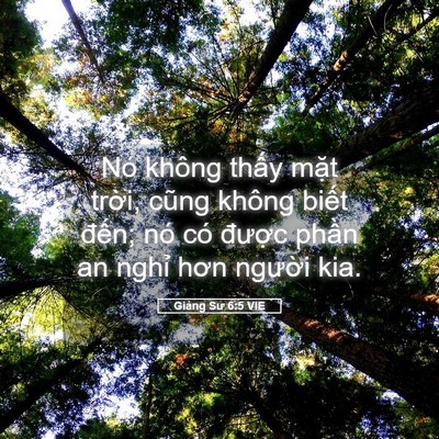 Picture 05 - Giảng Sư 6:5 VIE - Nó không thấy mặt trời, cũng không - Bible Verse Picture